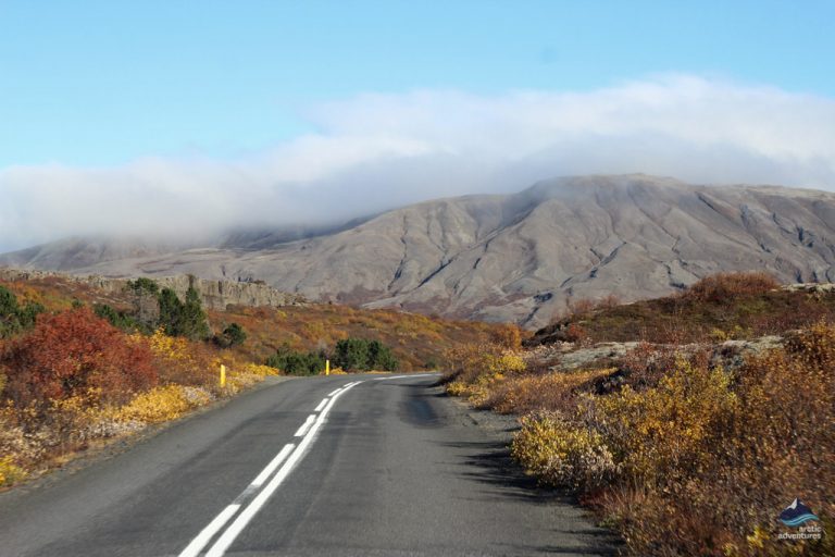 Why are there no trees in Iceland Arctic Adventures