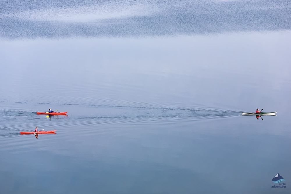 guided sea kayaking tour