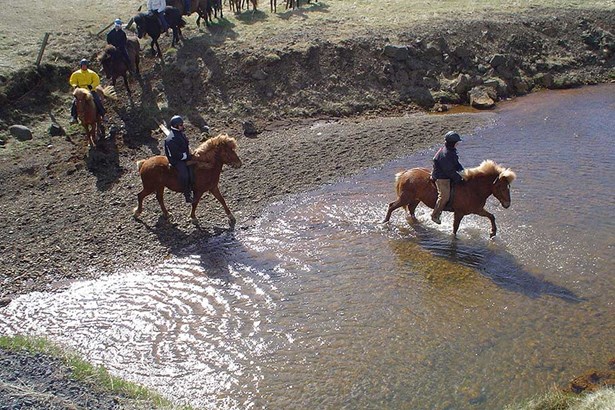 people crossing river by horses