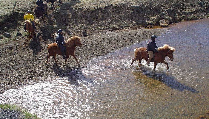people crossing river by horses