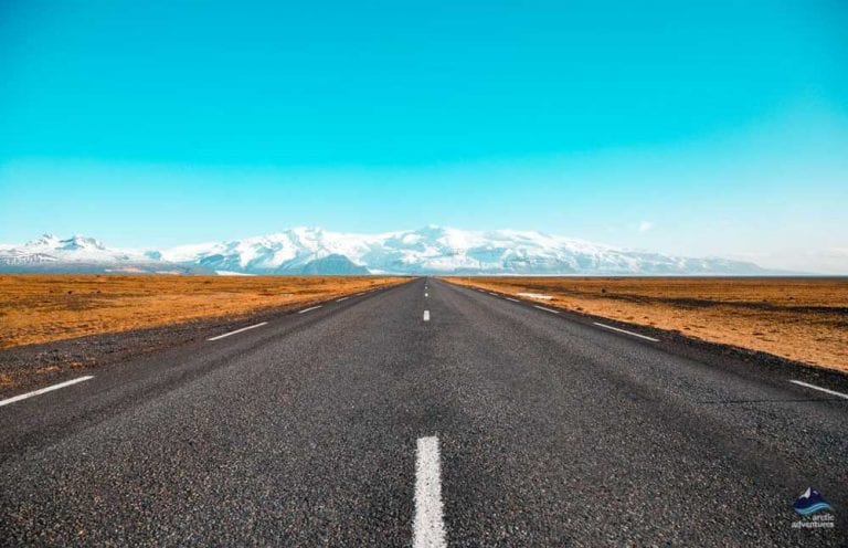 Why are there no trees in Iceland Arctic Adventures