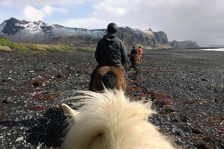 riding horses in Iceland