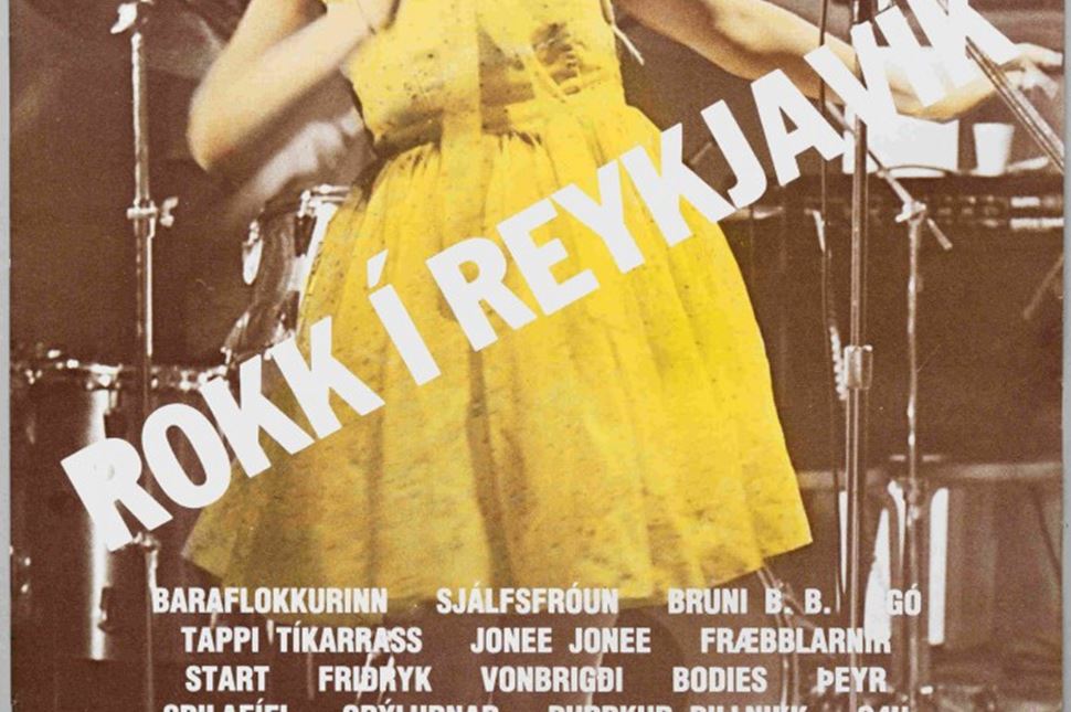 About Bjork | The Icelandic Singer | Arctic Adventures