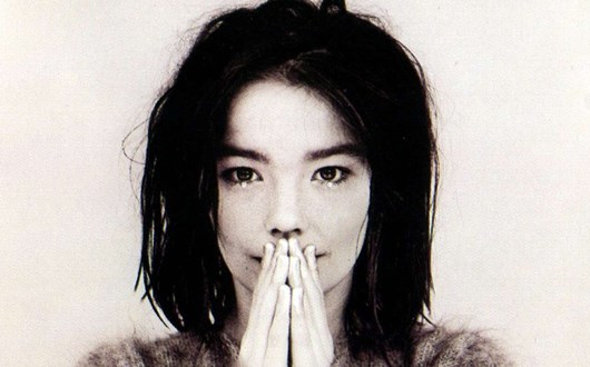 Icelandic singer - Björk