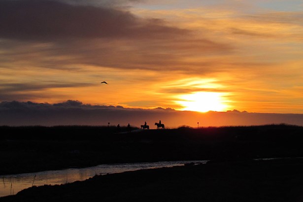 riding horses by the sunset in Iceland