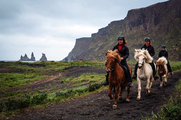 small group horse riding tour in Iceland