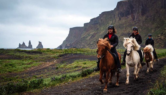 small group horse riding tour in Iceland