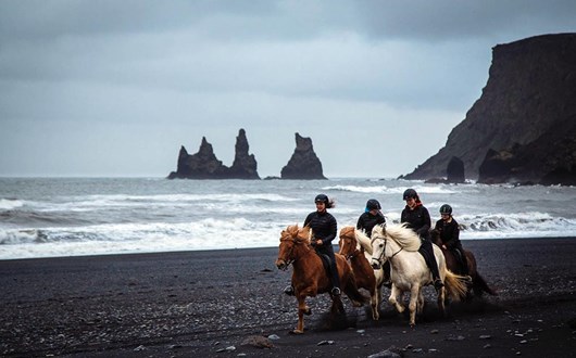 Excursion D'équitation Sur La Plage Noire