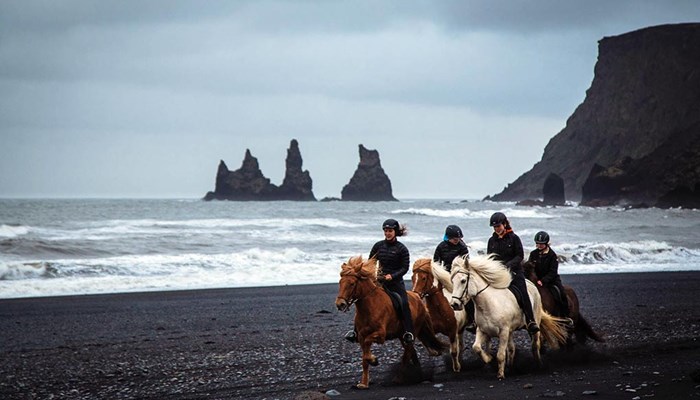 horse riding tour in reynisdrangar beach