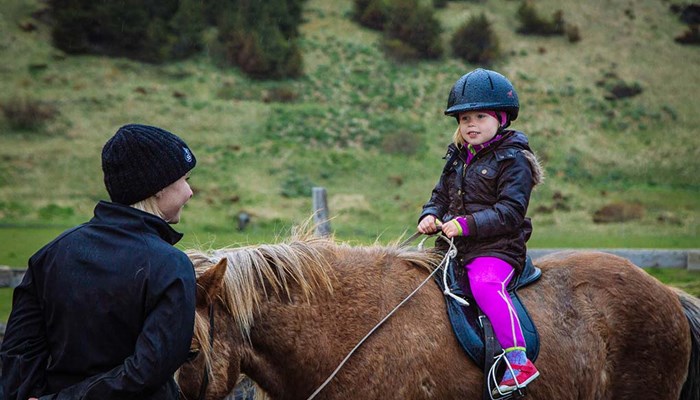 little girl learning hot to ride horse
