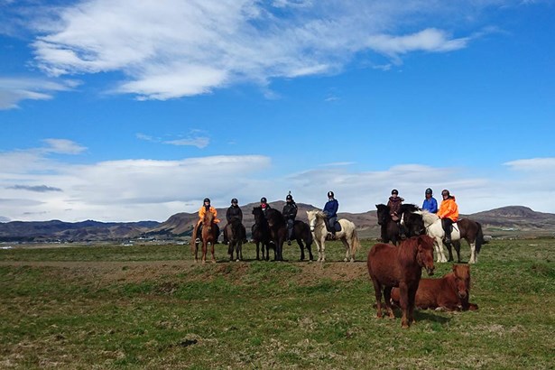 horse riders posing for picture in Iceland