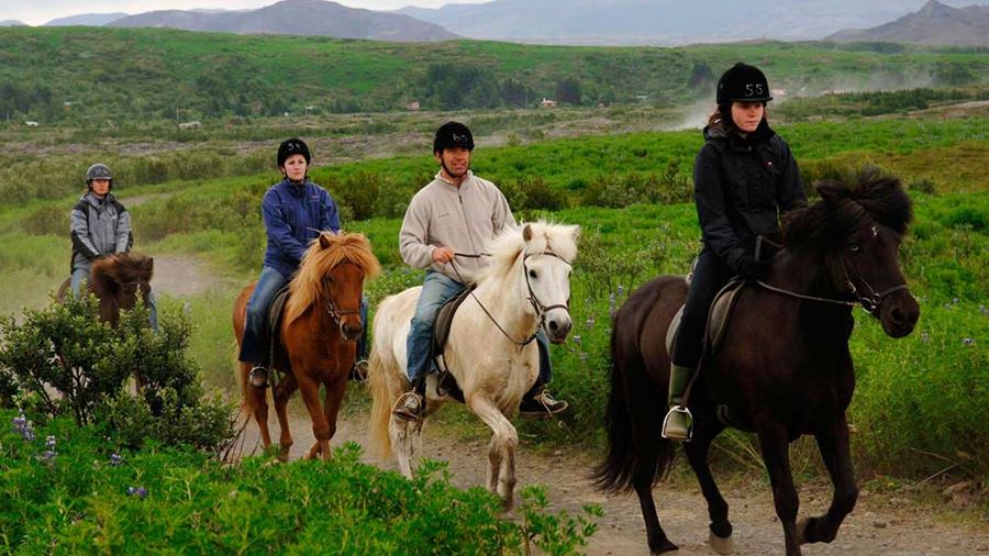group having horseback riding tour