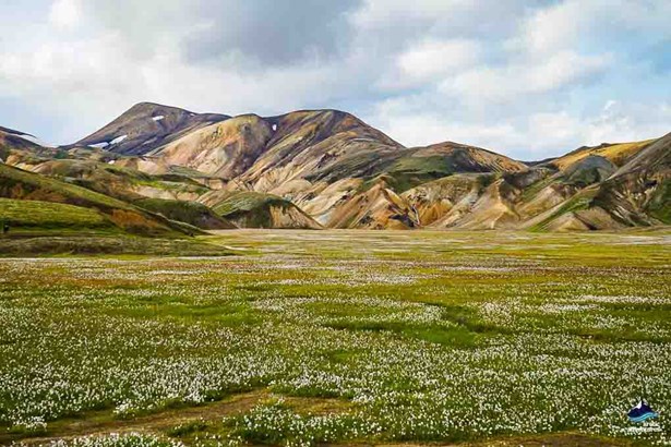 landscape of Landmannalaugar