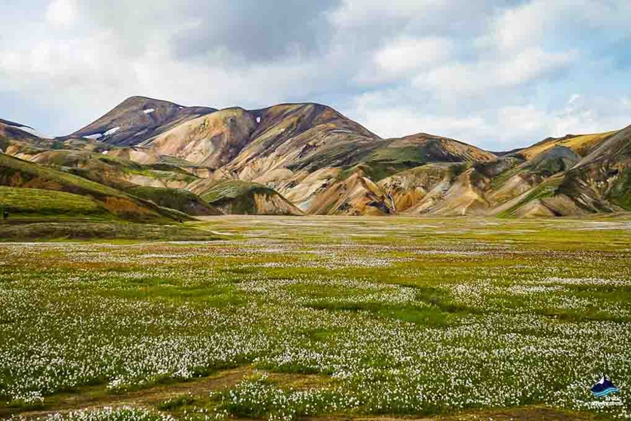 Landmannalaugar landscape