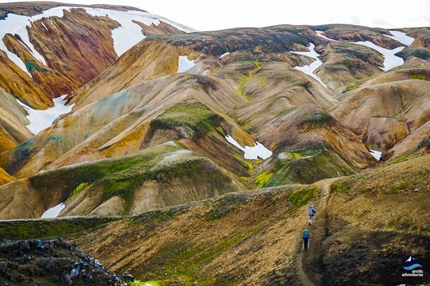 landmannalaugar hiking trek in Iceland