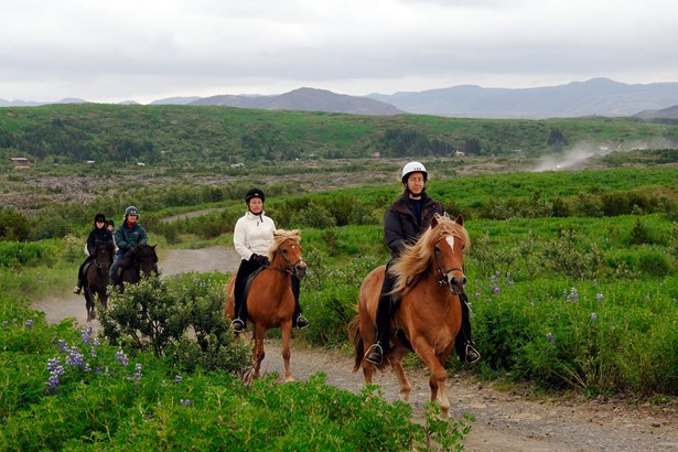 small group riding horses in Iceland