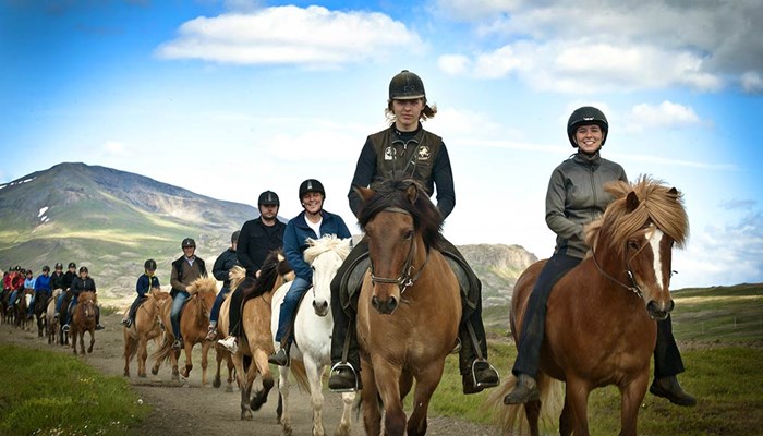 group of people riding horses in Iceland