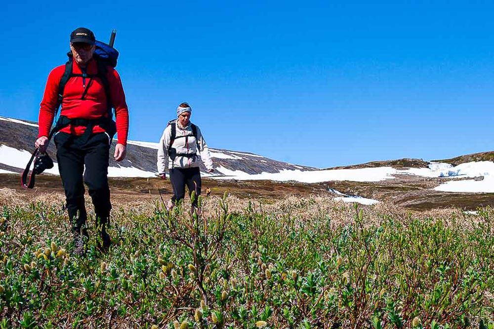 people trekking in Icelandic nature