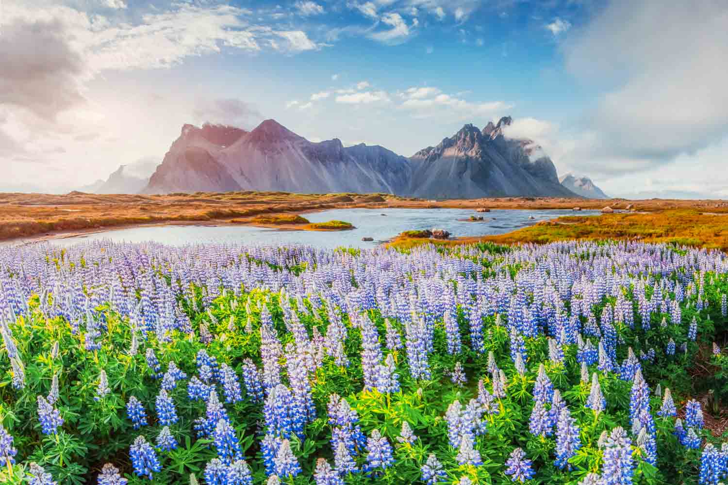 why visit iceland in summer