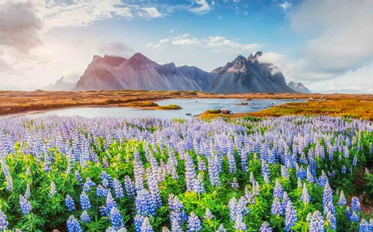What to Do in Summer in Iceland