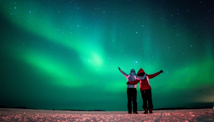 Whale Watching & Northern Lights Tour From Reykjavik