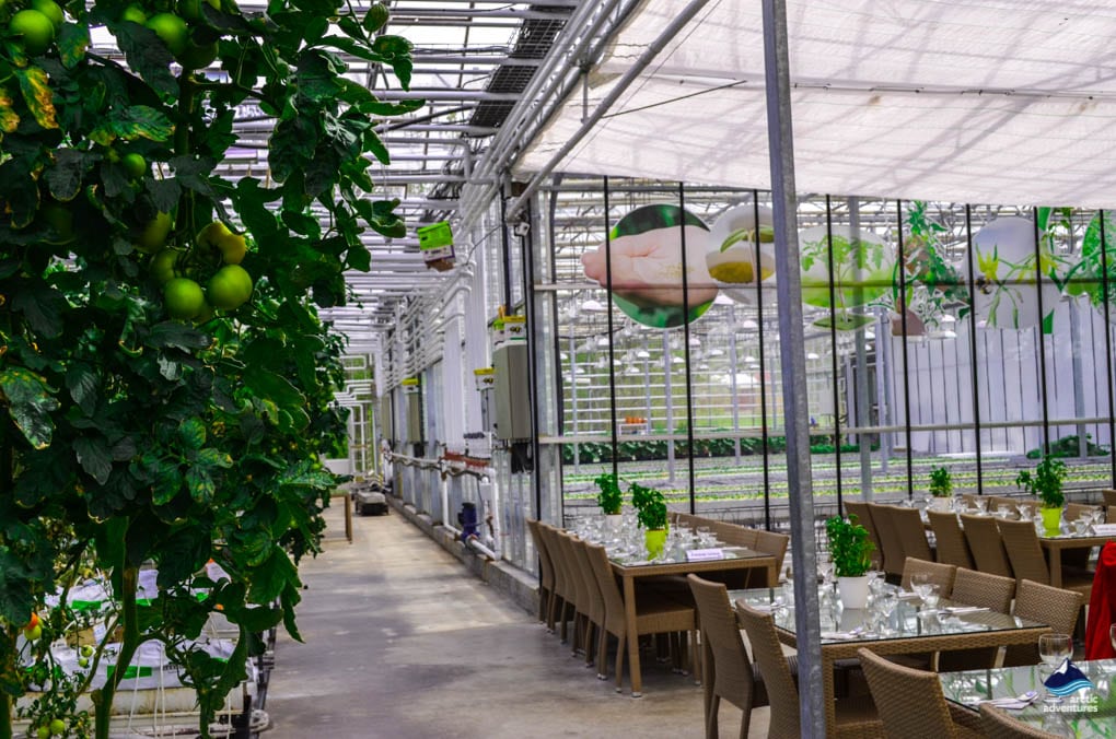 Hidden Gem in Golden Circle Iceland Farmers Restaurant