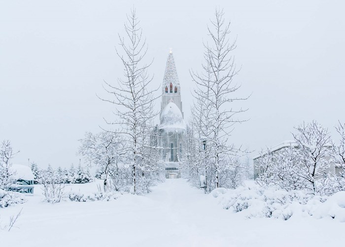 Tag: Icelandic Winter