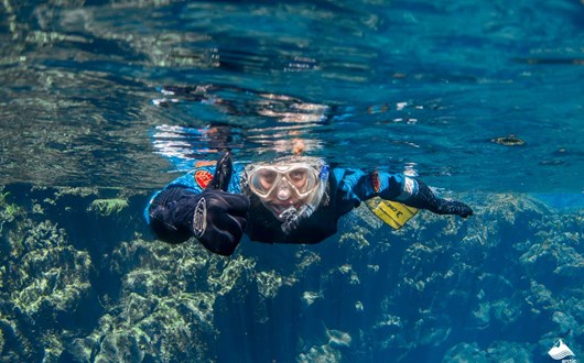 What is Snorkeling? A Beginner’s Guide