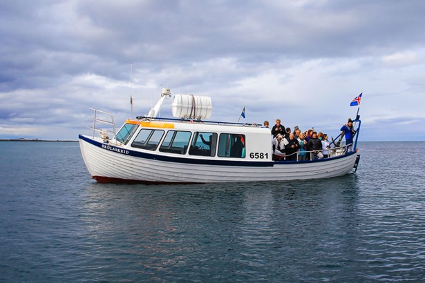 tourists having a boat tour in Iceland
