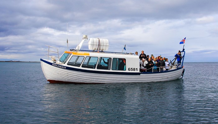 tourists having a boat tour in Iceland