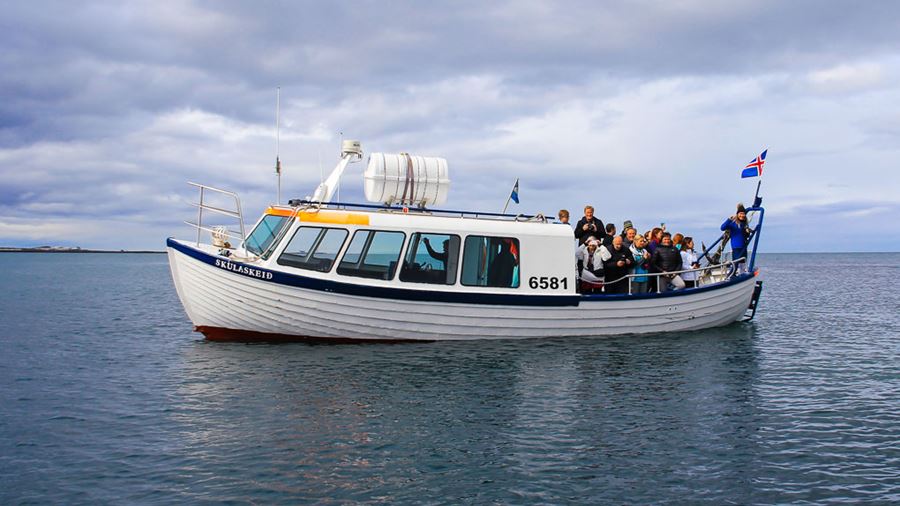 tourists having a boat tour