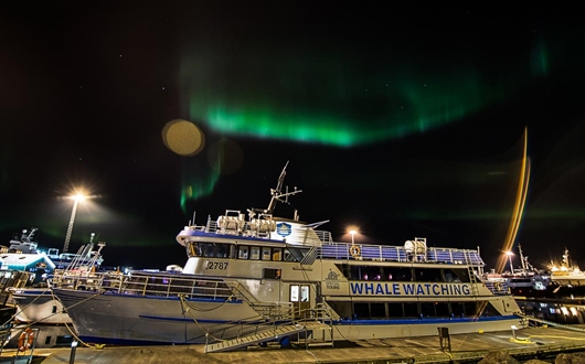 Northern Lights by Boat in Iceland