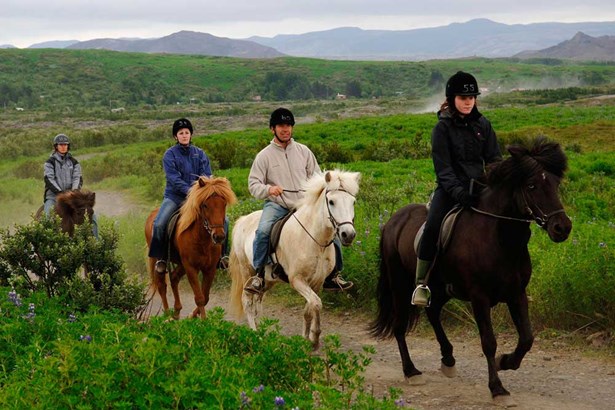 small group riding Icelandic horses in Reykjavik