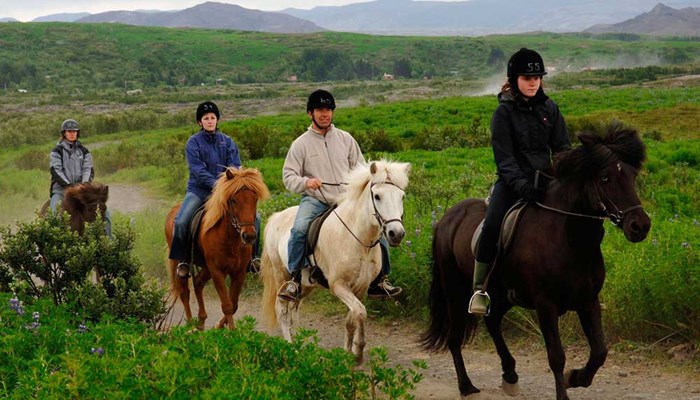 small group riding Icelandic horses in Reykjavik