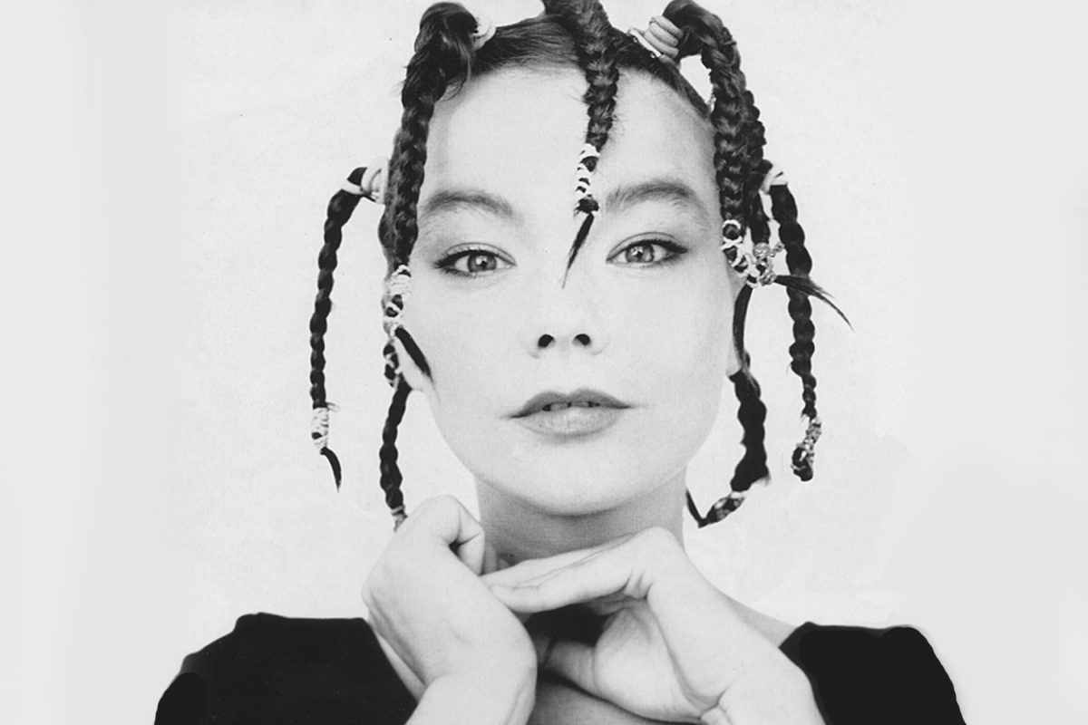 About Bjork The Icelandic Singer Arctic Adventures About Bjork The Icelandic Singer Arctic Adventures