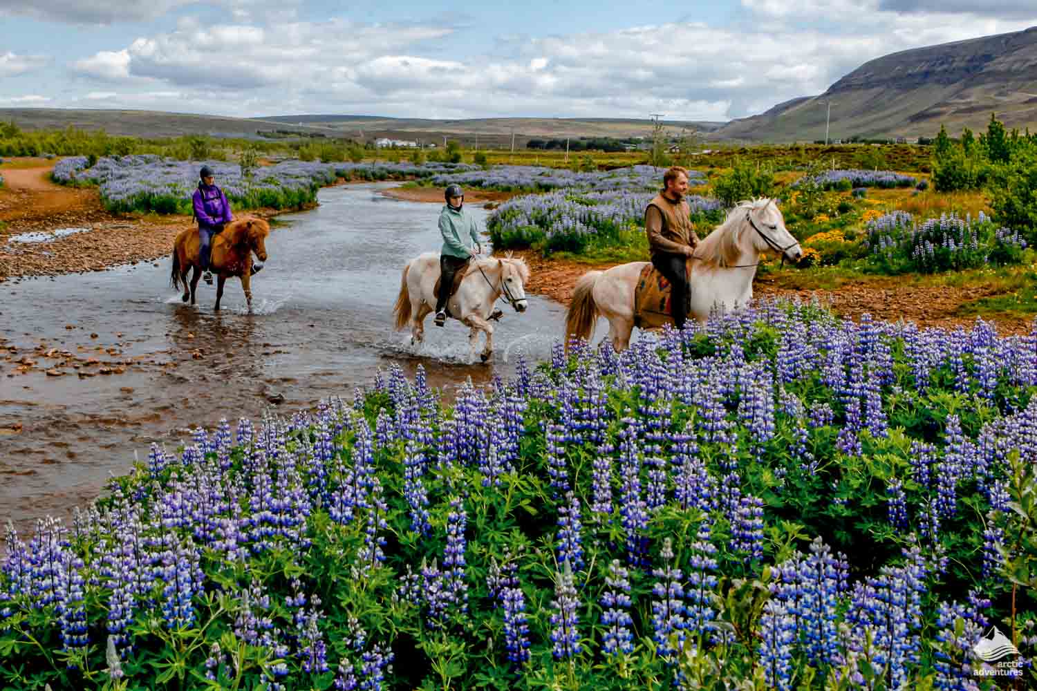 Popular Activities In Iceland | Arctic Adventures