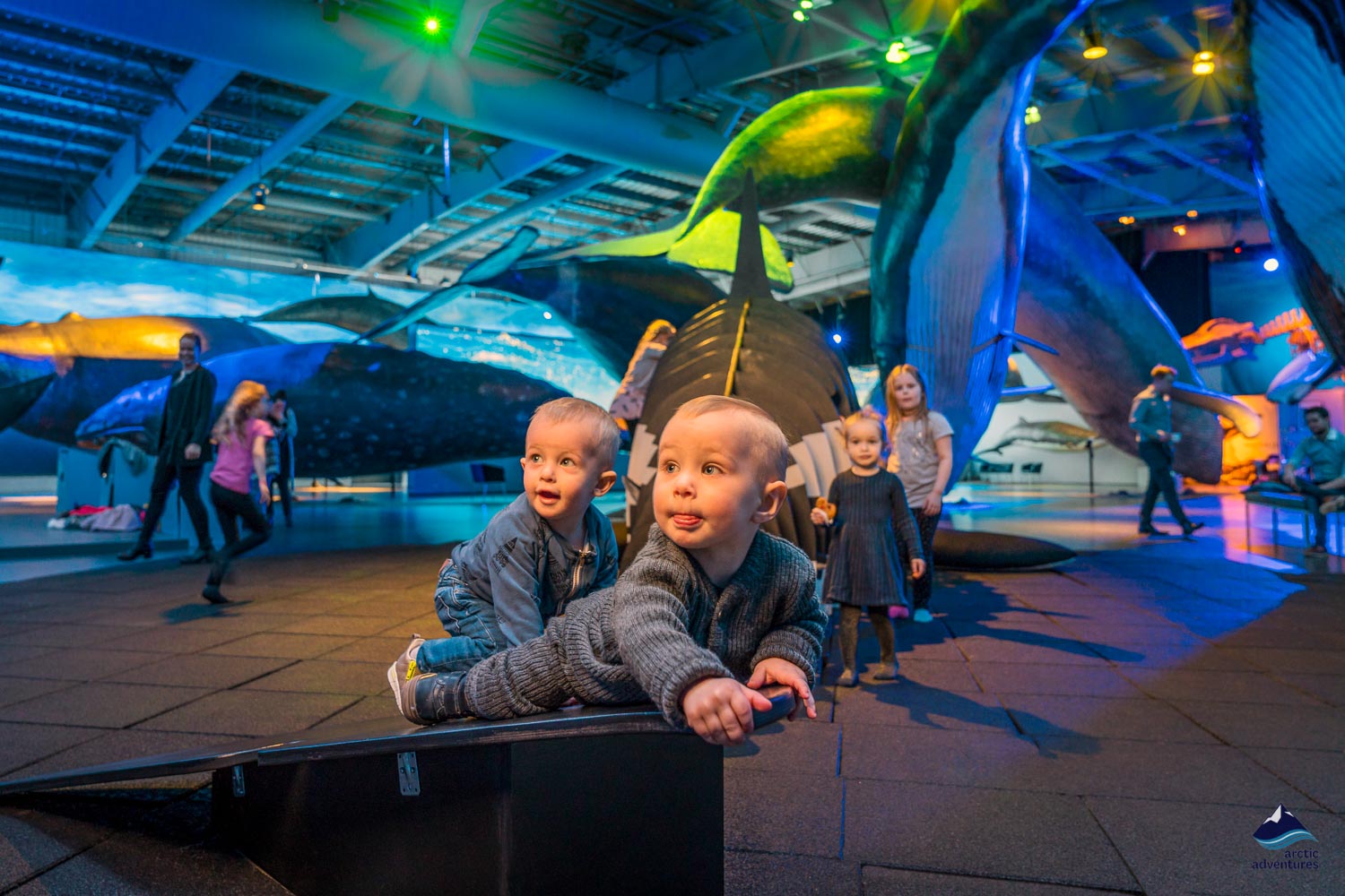 Young children whale museum