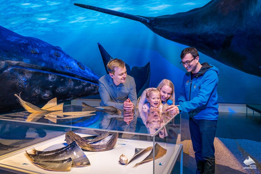 Family Whales of Iceland museum
