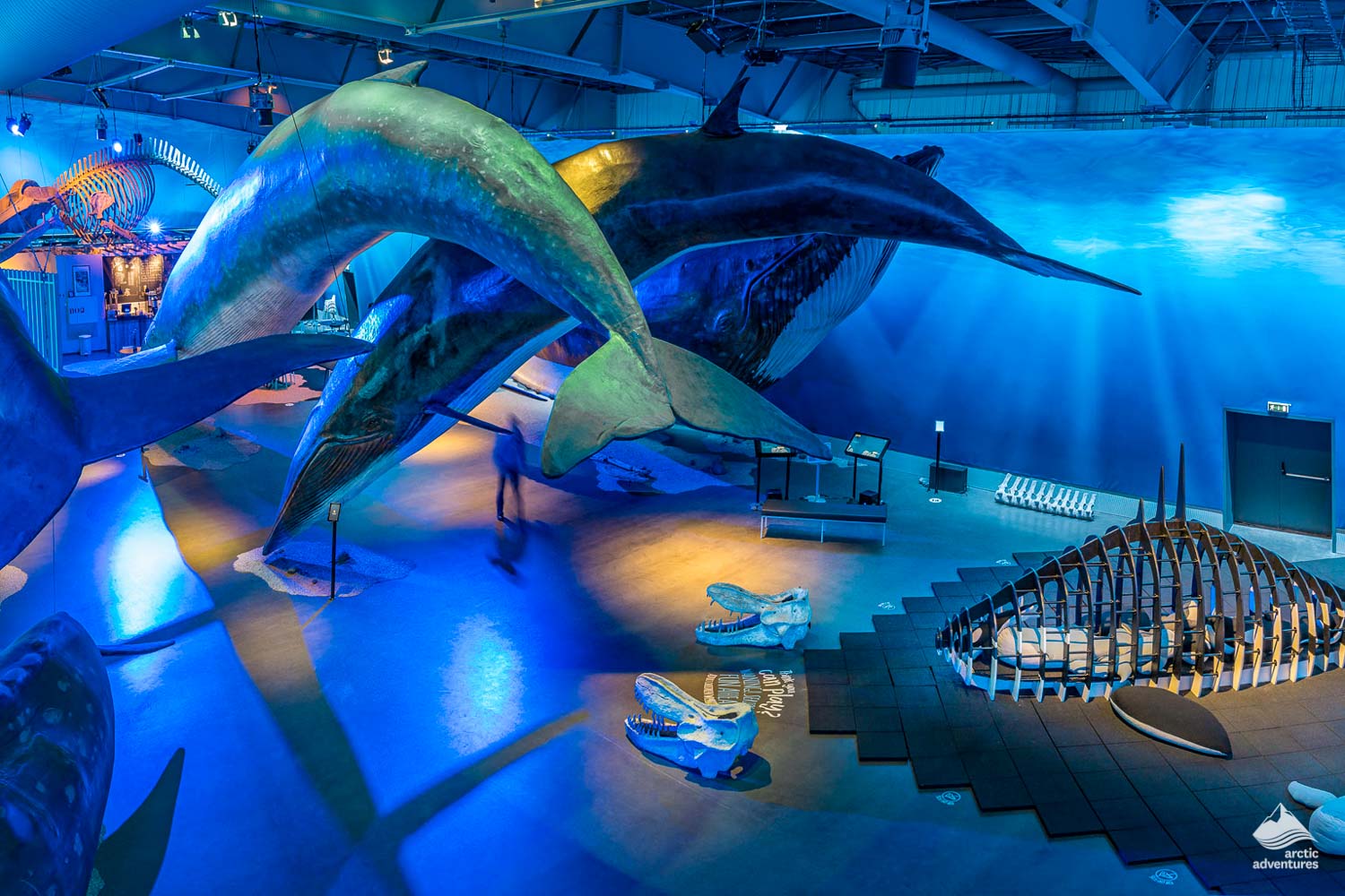Whales sculpture in Whales of Iceland museum