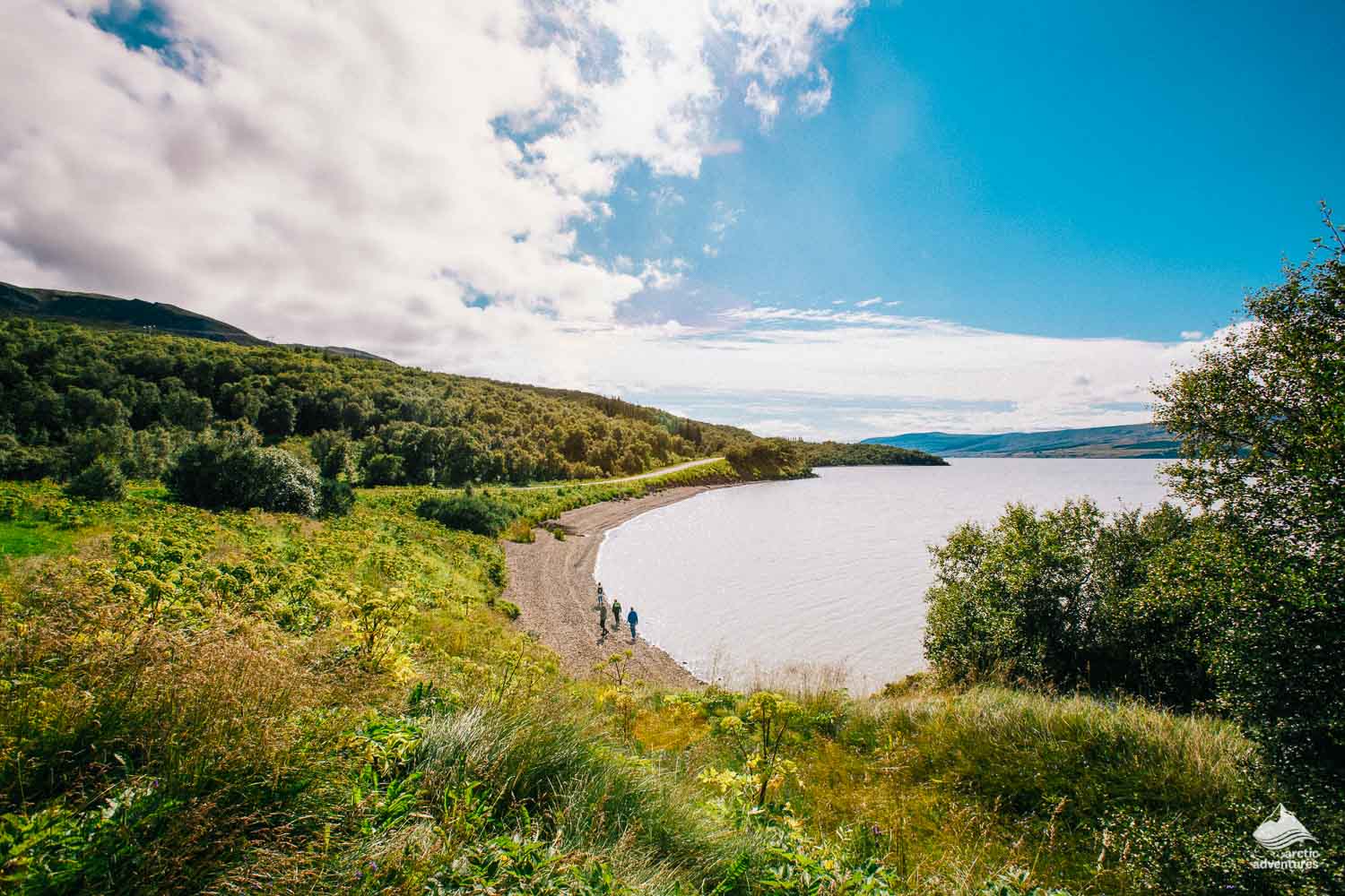 Lagarfljot Lake in Iceland during summer
