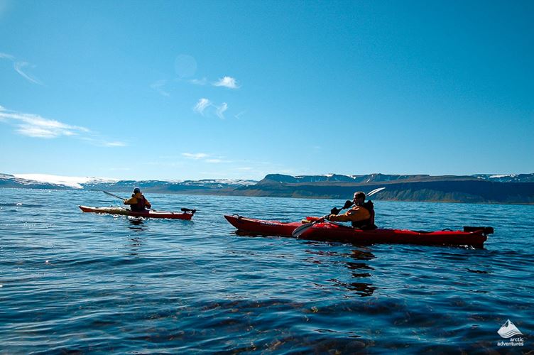 guided kayaking tour in Hornstrandir guided kayaking tour in Hornstrandir nature reserve