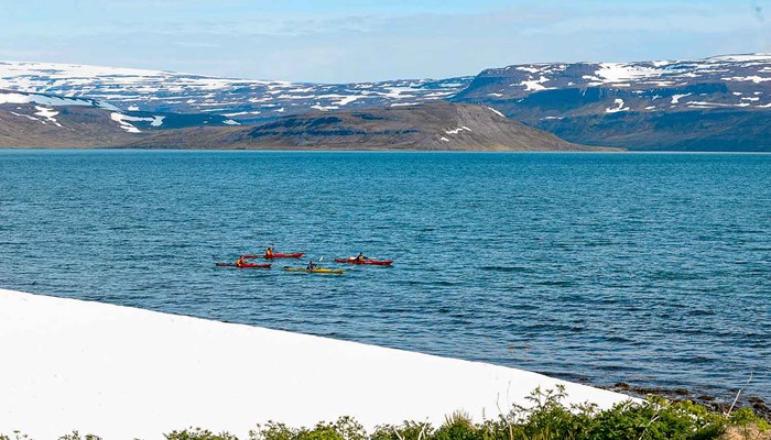 kayaking in Isafjardardjup fjord of Iceland