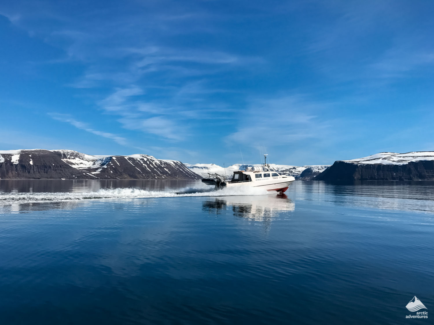 boat swimming in the sea