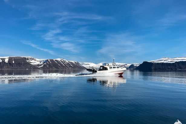 boat swimming in Isafjordur's Fjord Sea
