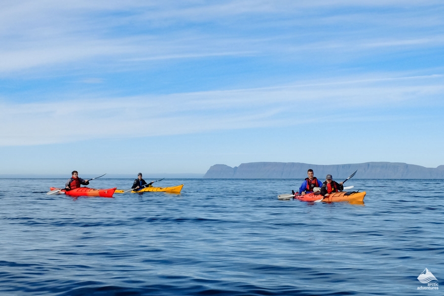 group kayaking tour in Westfjords