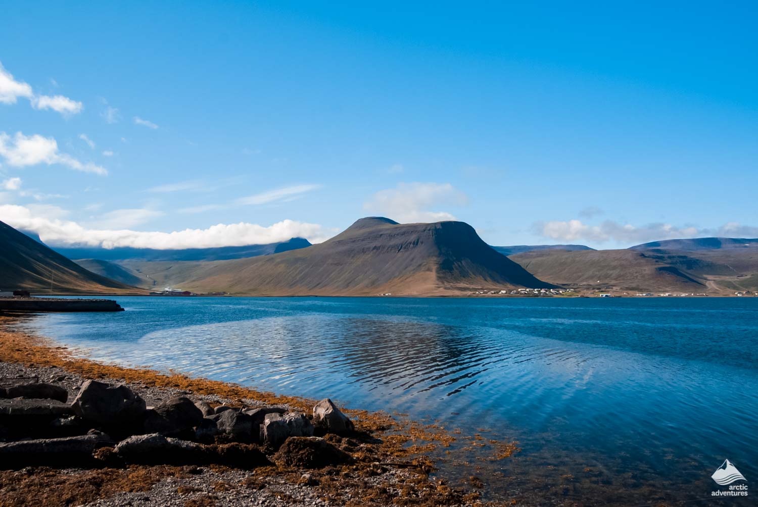 Icelandic nature in the summer