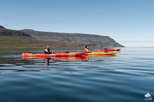 group of kayakers swimming in Westfjords