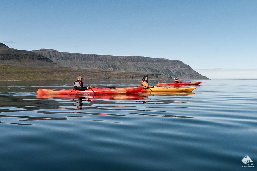 group of kayakers swims in Westfjords