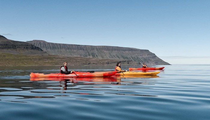 group of kayakers swimming in Westfjords