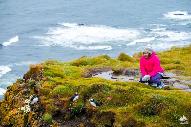 woman exploring the Icelandic wild Puffins